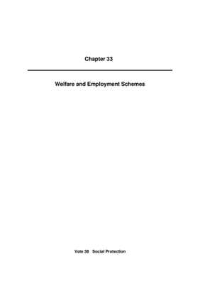 2010 Annual Report, Chapter 33 Welfare and Employment Schemes thumbnail